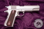 Colt 1911 stainless